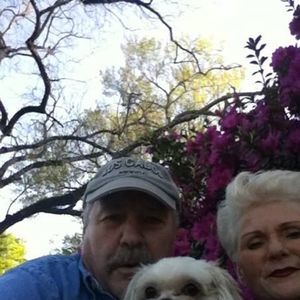 Meet your Posher, Betty